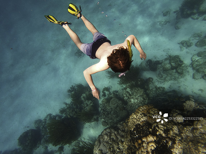 一家人在伯利兹度假，进行浮潜活动，其中包含一名青少年和一名幼儿。图片素材