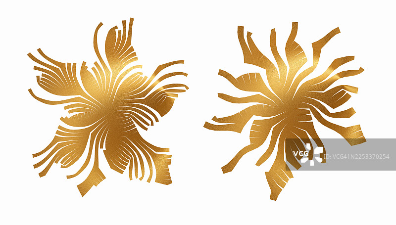 金色金属形状，圆形和椭圆形用于设计，在白色背景上抠出。图片素材