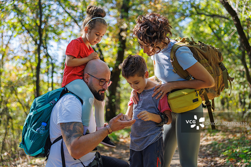 一家人户外徒步探险，父母和孩子在森林小径上图片素材