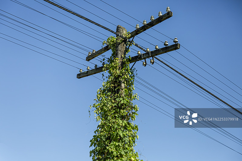 铁路电报杆图片素材