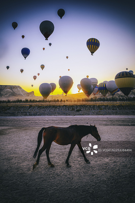 土耳其卡帕多奇亚，一匹马站在仙人烟囱旁图片素材
