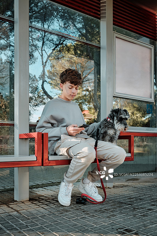 一个少年拿着智能手机，和他的雪纳瑞犬一起在公交车站等车图片素材