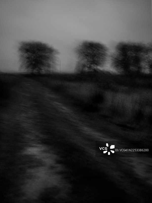 黑白乡村风景，草地上的土路，地平线上模糊的草和动态模糊的落叶树，强烈的意图相机移动的抽象乡村景象，阴天，极简构图图片素材