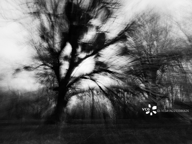 深秋公园里模糊的树木剪影，采用故意相机移动效果创作。光秃的树枝在淡空中形成层叠的动态，柔和的棕色和绿色调暗示着季节的过渡和无人身处其中的自然景观。图片素材