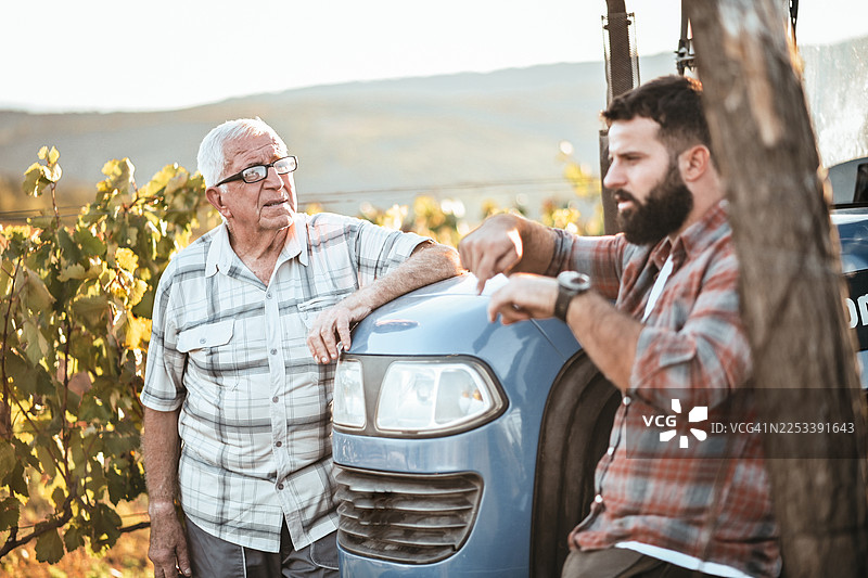 在阳光明媚的日子里享受葡萄园的时光图片素材