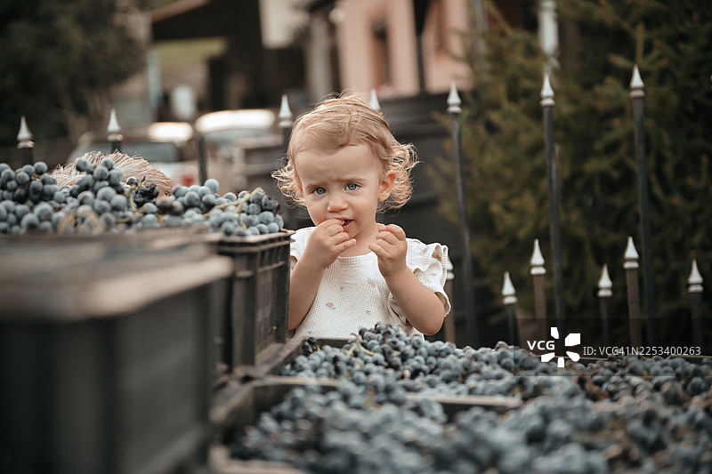 可爱的小女孩在吃红葡萄图片素材