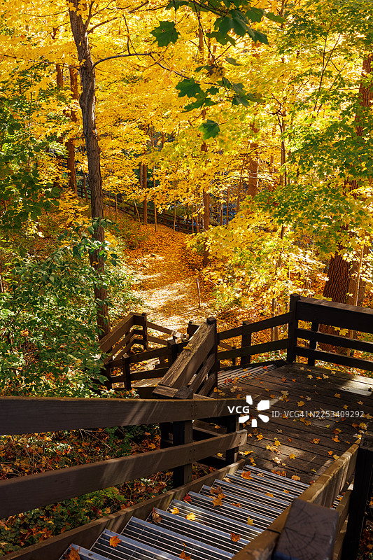阳光明媚的公园里，色彩鲜艳的秋叶环绕着一条蜿蜒的小路和木制楼梯图片素材