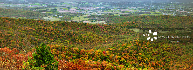 秋季色彩鲜艳的树木覆盖着连绵起伏的山丘和山谷，在朦胧的天空下构成一幅广阔的风景，这是鸟瞰图。图片素材