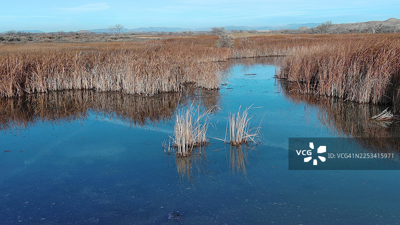 美国，平静的湖泊，周围环绕着干枯的芦苇和远处的山丘，蓝天下的风景图片素材