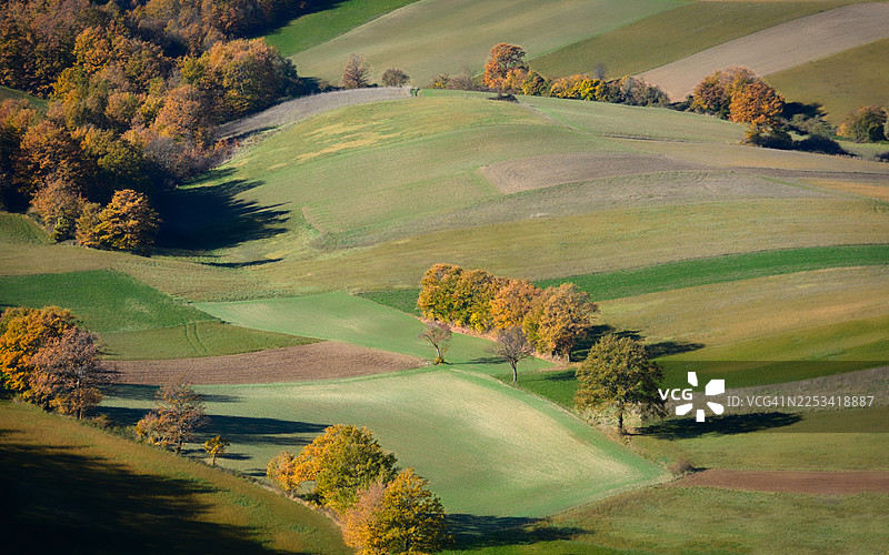 从高处俯瞰白天生机勃勃的秋季树木和绿色田野，意大利塞拉瓦莱迪基恩蒂，科莱库尔蒂图片素材