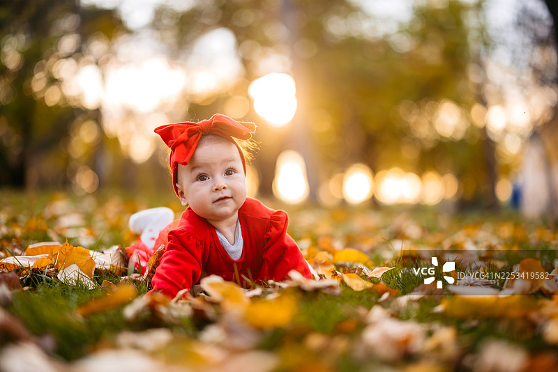 一个女婴躺在公园的秋叶上图片素材