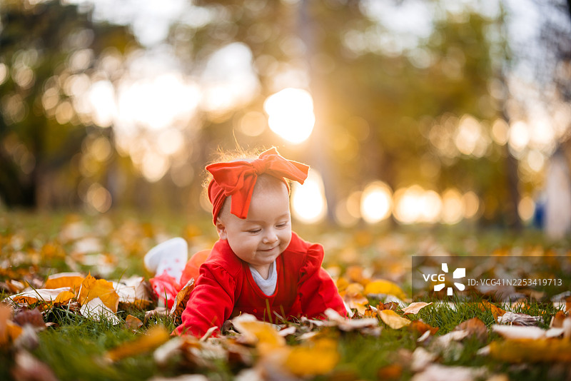 一个小女婴躺在公园的秋叶上图片素材