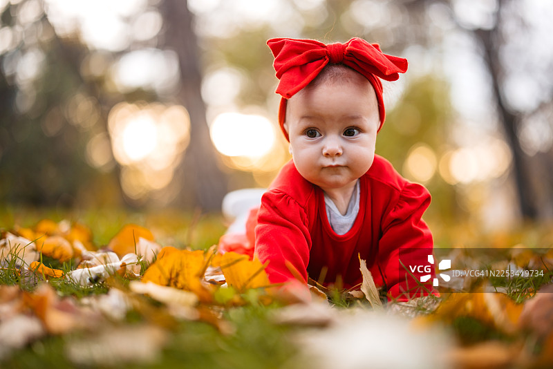 一个女婴躺在公园的秋叶上图片素材