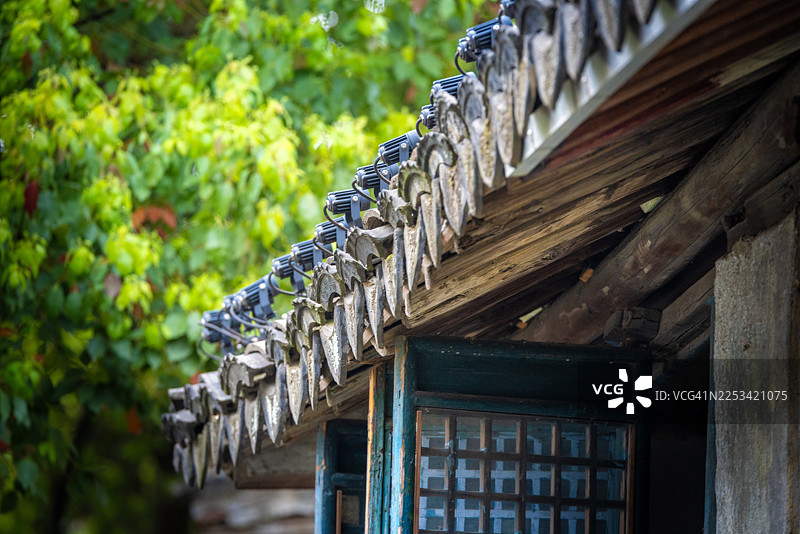 中国传统屋顶，拥有精美的瓦片工艺和现代灯光，背景为葱郁的绿色，中国，同里湖图片素材