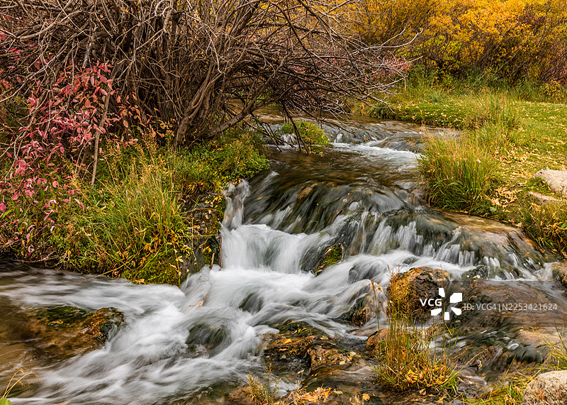 秋日落叶间流淌的溪流，美国南达科他州图片素材
