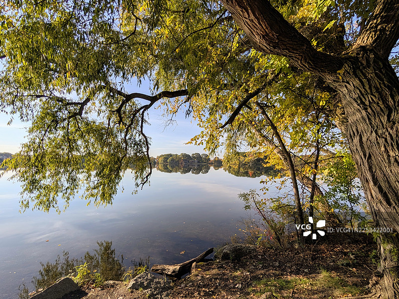 秋日绚丽的树木倒映在宁静的湖面上，天空湛蓝，美国阿灵顿图片素材