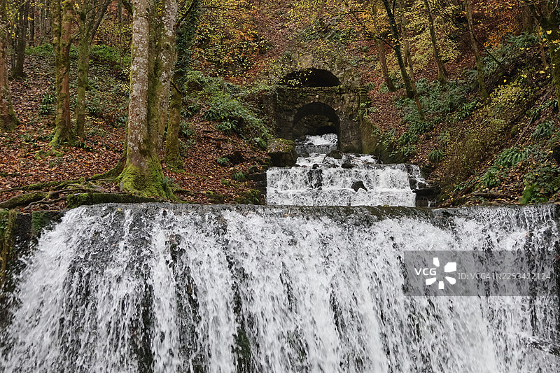 茂密森林中瀑布飞流而下，伴有秋日树叶和一座古老的石桥的风景图片素材