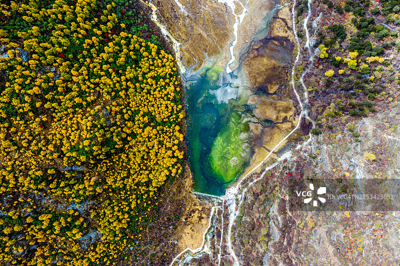 中国稻城县，航拍视角下的湖泊，湖水呈现鲜艳的蓝绿色，四周环绕着郁郁葱葱的绿黄相间的树木，湖边有蜿蜒的小径。图片素材