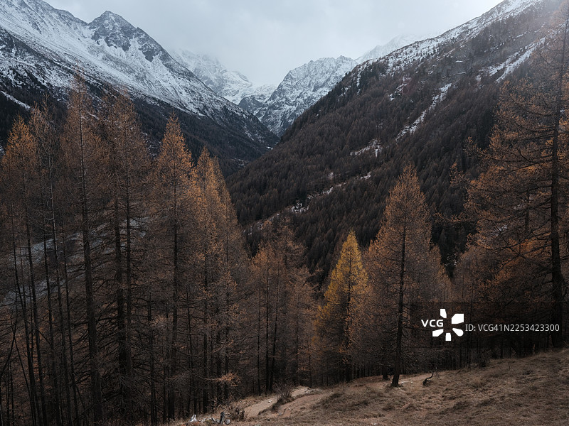 秋季色彩的树林和白雪覆盖的山脉在多云天空下的风景图片素材