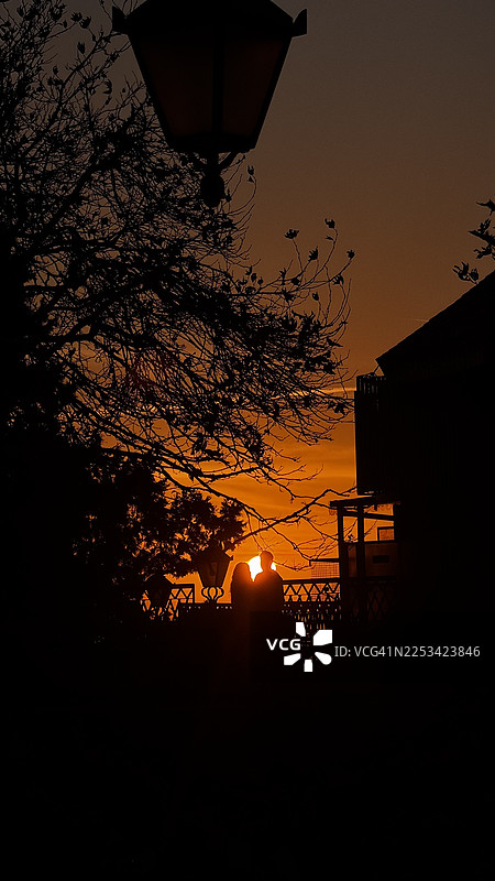 一对情侣的剪影，背景是充满活力的日落天空，树木和路灯构成画面，地点：印度西姆拉，马路图片素材