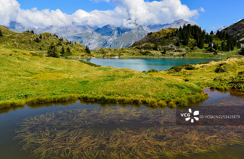瑞士恩格尔贝格，郁郁葱葱的绿色山丘环绕着宁静的山区湖泊，碧空如洗，白云点缀图片素材