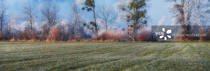 瑞士巴德拉加兹，晴朗蓝天下，霜冻田野和树木的风景冬季景观图片素材