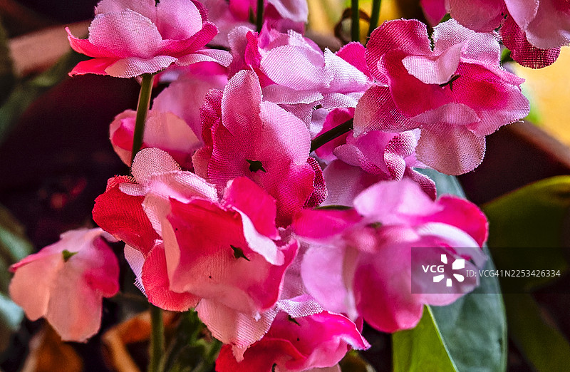 娇嫩花瓣的鲜艳粉色人造花特写图片素材