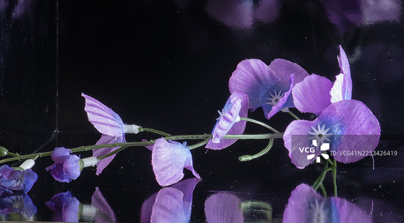 深色背景上，鲜艳的紫色人造花特写，带有反光图片素材