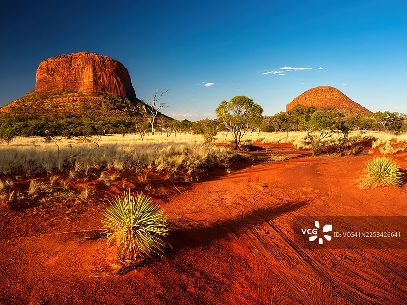 澳大利亚内陆麦克唐奈尔地区，在晴朗蓝天下，色彩鲜艳的红土地与古老的岩石构造图片素材