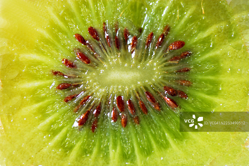 花园里的猕猴桃图片素材