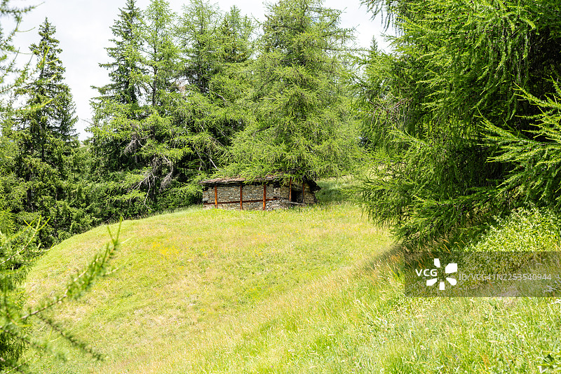 坐落于意大利库马约尔，一座质朴的石头小屋掩映在茂密的松树林中，位于一片绿色的山坡上，天空明亮。图片素材