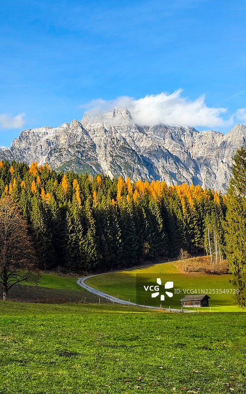 秋色渐染的阿尔卑斯山林，蜿蜒的道路通向一座小木屋，天空湛蓝，奥地利，利奥冈图片素材