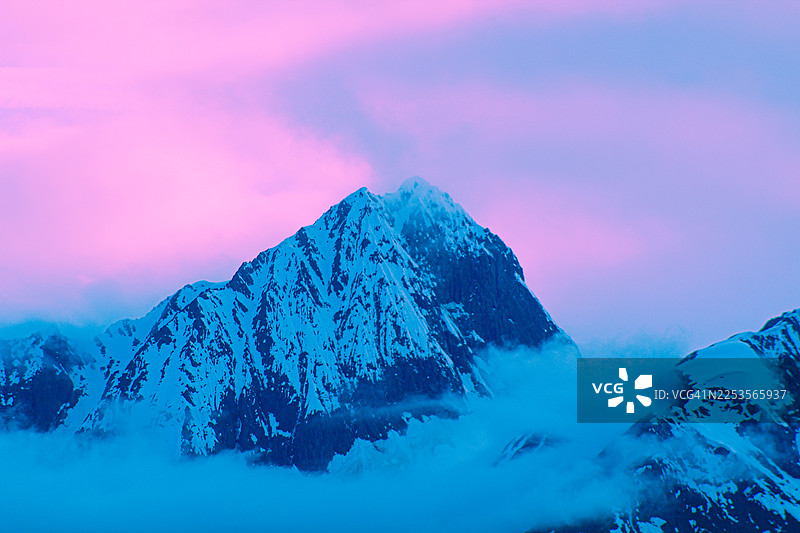 美国奇尔卡特山脉，雄伟的雪山峰峦从云海中显现，沐浴在黎明或黄昏柔和的粉色和紫色光辉中图片素材