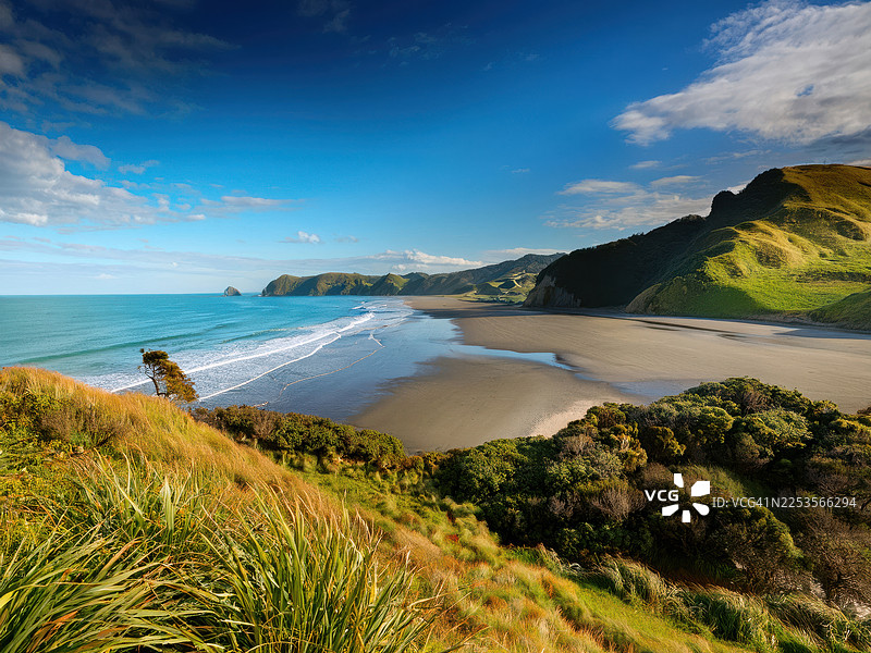 新西兰，拥有沙滩、连绵丘陵和广阔蓝色海洋的戏剧性海岸景观，天空晴朗图片素材