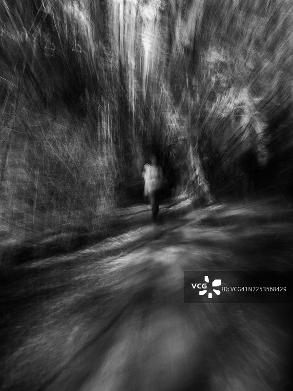 模糊的剪影，一个人走在森林小径上，周围是高大的树木。强烈的动态模糊效果拉伸了树干和柔化了地面，形成了一幅抽象的黑白林地景象，中心是一位移动中的人物。图片素材