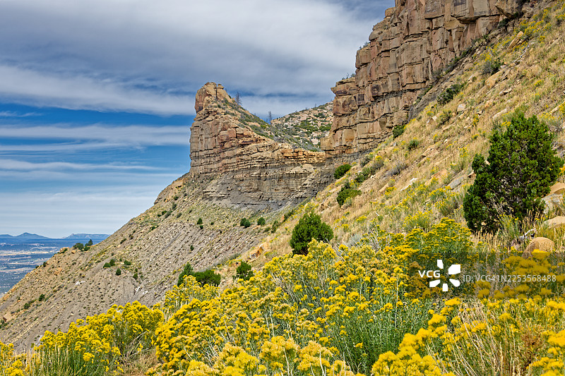 在美国曼科斯，蒙特苏马山谷观景点，在多云的天空下，高耸的岩石地貌中盛开着充满活力的黄色野花图片素材
