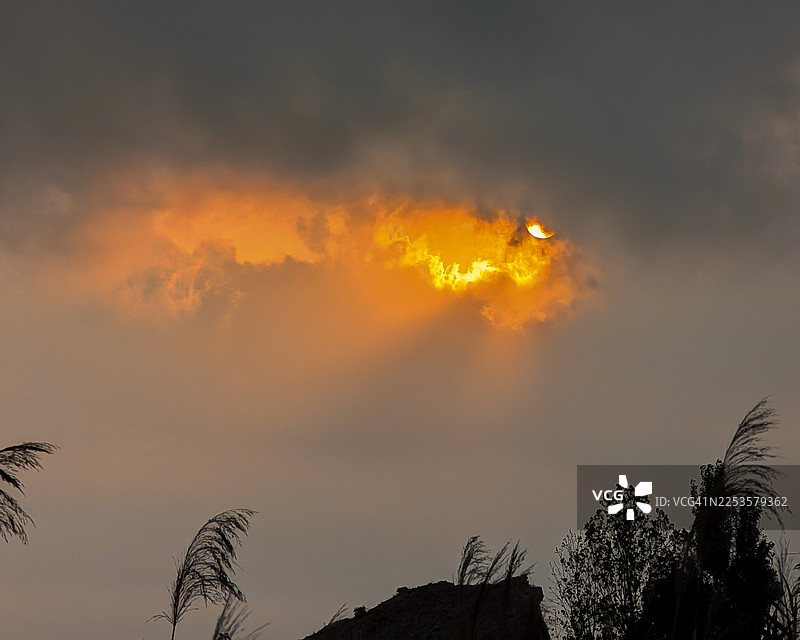 火烧云映衬下的剪影树木，戏剧性的低角度视角图片素材