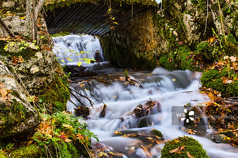 郁郁葱葱的森林中瀑布的风景，点缀着秋叶和长满苔藓的岩石图片素材