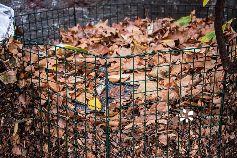 圣约翰花园的金属网叶垃圾桶图片素材
