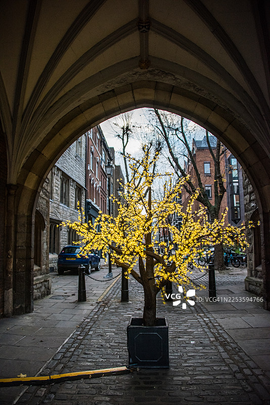 拱门门房下的发光人造树图片素材
