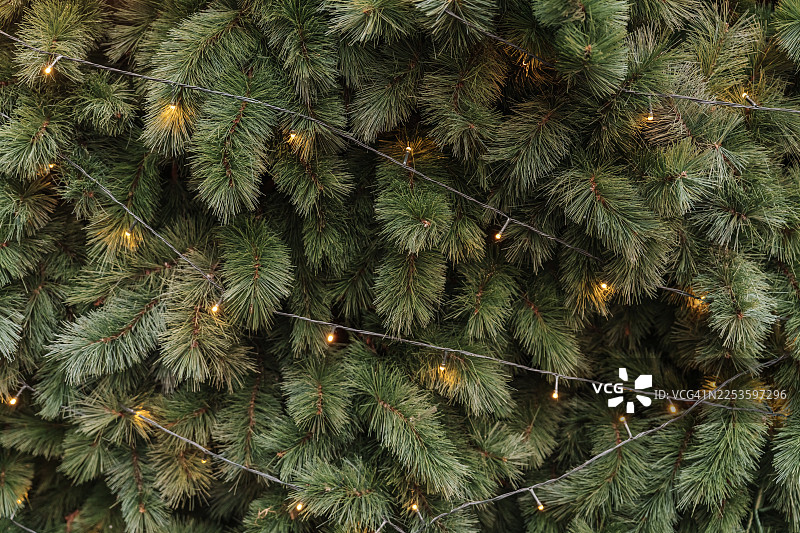 装饰精美的圣诞树特写，节日快乐，圣诞装饰图片素材