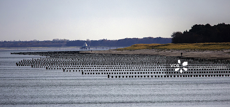 从码头望向海滩和树林,全景,普雷罗,菲施兰-达尔斯-辛斯,西部波美拉尼亚泻湖区国家公园,梅克伦堡-前波美拉尼亚,德国图片素材
