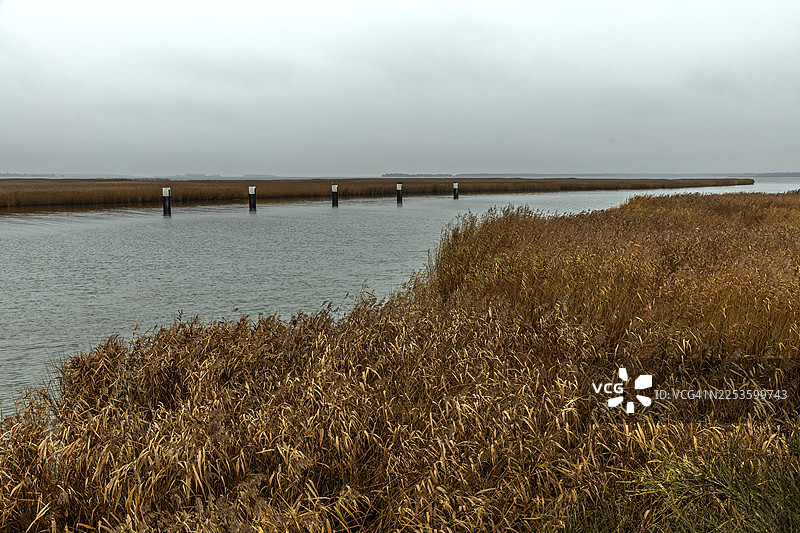 德国梅克伦堡-前波美拉尼亚州,西部波美拉尼亚泻湖区国家公园,菲施兰-达尔斯-辛茨,辛茨附近的迈宁根桥泻湖区图片素材