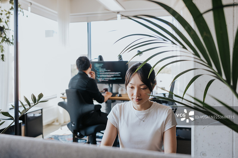 充满植物的现代化办公室里专注的程序员。图片素材