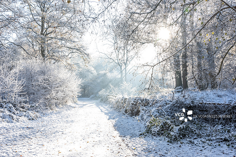 冬季的阿什里奇图片素材