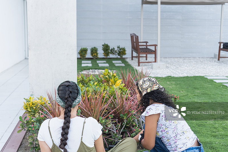 年轻女性在可持续的家中种植花园图片素材
