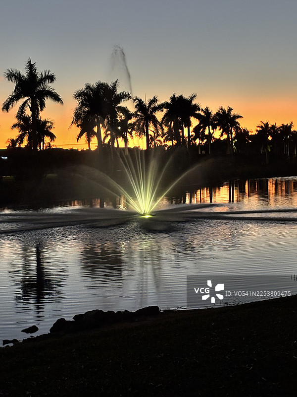 夕阳下的棕榈树倒映在湖面上，宁静的景象。图片素材