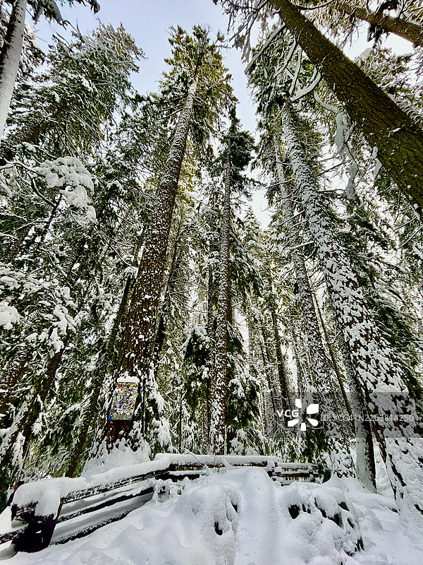火车残骸小径图片素材
