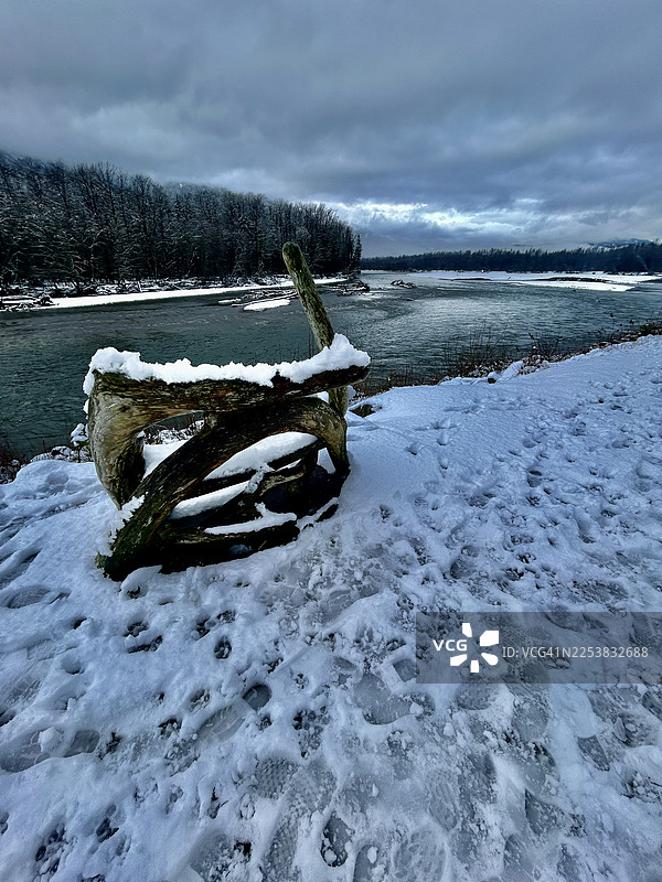 布拉克代尔鹰跑图片素材
