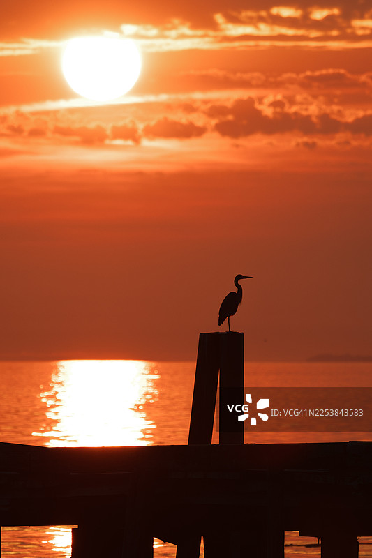 水上日出图片素材
